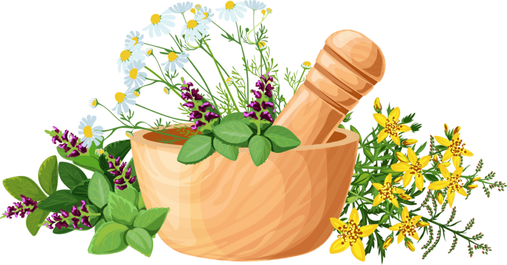 वैदिक तथा आयुर्वेदिक सिद्धान्त